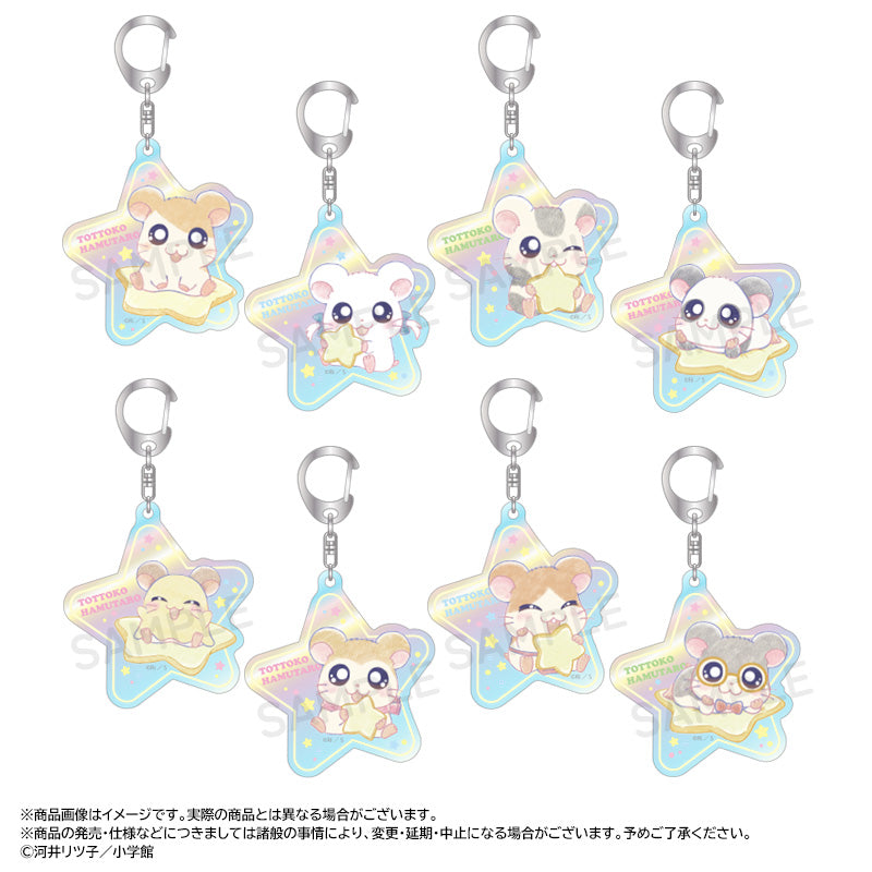 Tottoko Hamutaro -Twinkle Dreams- Aurora Acrylic Key Chain