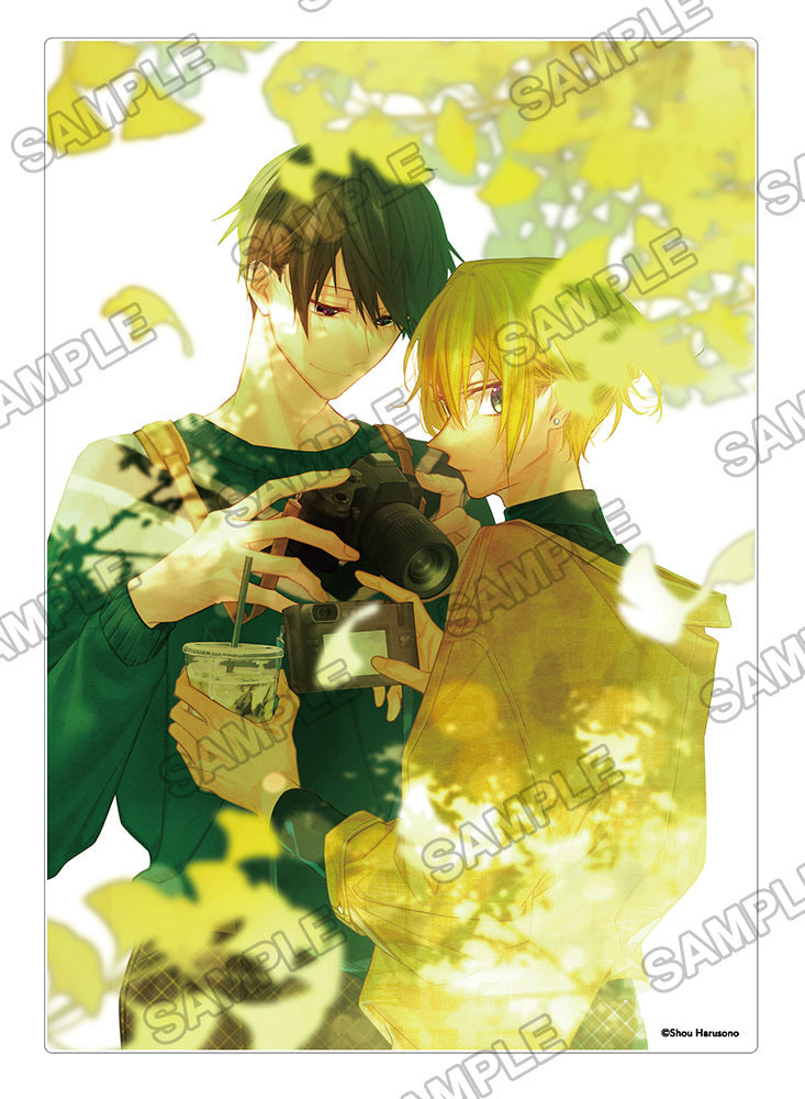 "Hirano and Kagiura" Acrylic Panel B (Shou Harusono Illustration)