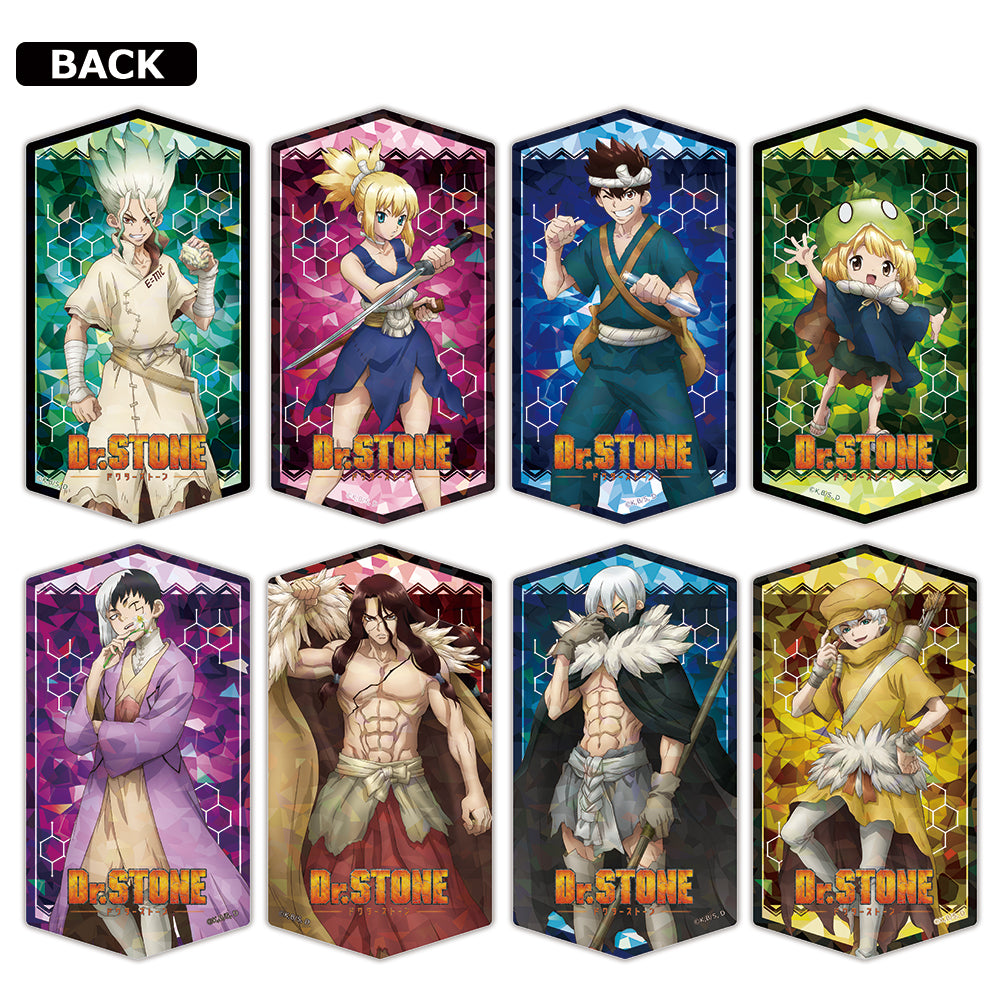 Dr. Stone Prism Visual Collection
