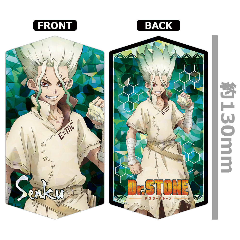 Dr. Stone Prism Visual Collection