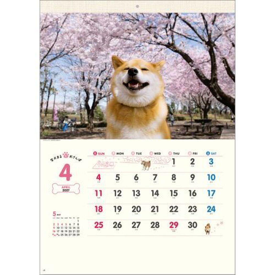 "Shiba Inu Maru Walk" Calendar