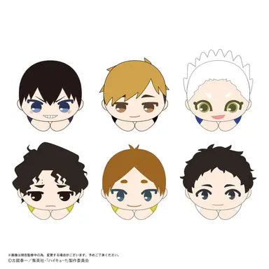Haikyu!! HUG CHARACTER COLLECTION 10
