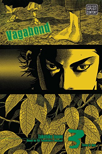 VAGABOND (VIZBIG EDITION), VOL. 3