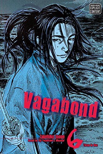 VAGABOND (VIZBIG EDITION), VOL. 6