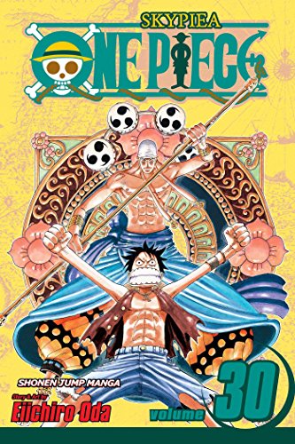 ONE PIECE, VOL. 30