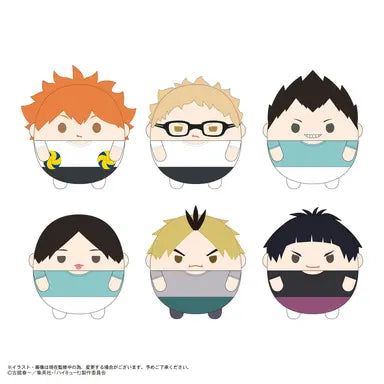 Haikyu!! FUWA KORORIN9