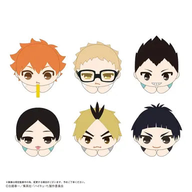 Haikyu!! HUG CHARACTER COLLECTION9