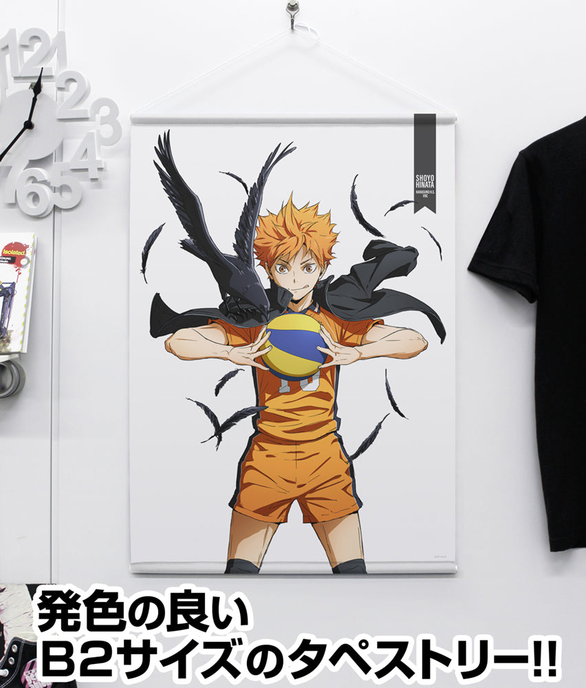 HAIKYU! TAPESTRY HINATA COSPA
