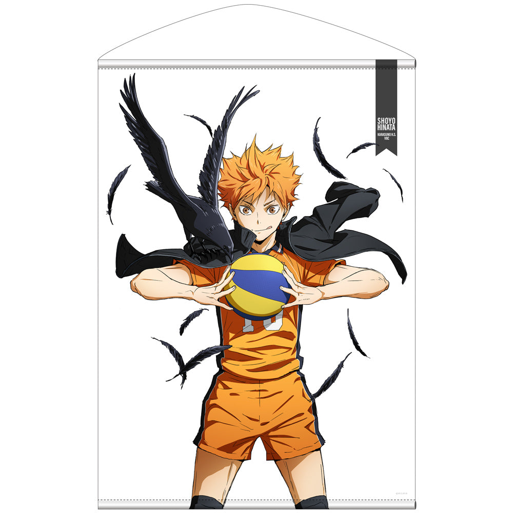 HAIKYU! TAPESTRY HINATA COSPA