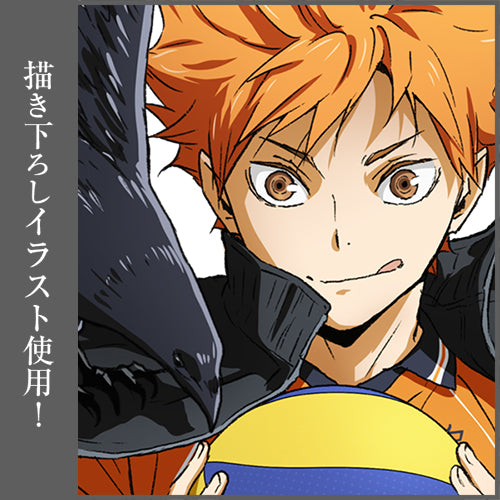 HAIKYU! TAPESTRY HINATA COSPA