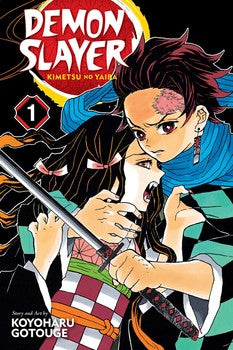 DEMON SLAYER: KIMETSU NO YAIBA, VOL. 1