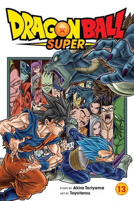 DRAGON BALL SUPER, VOL. 13