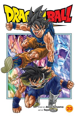 DRAGON BALL SUPER, VOL. 20