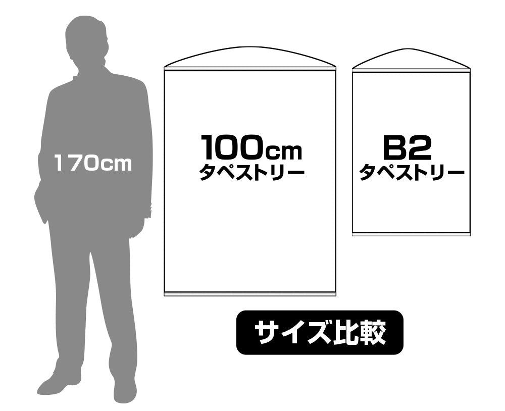 HAIKYU! TAPESTRY HINATA COSPA