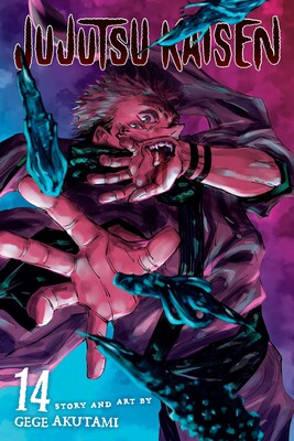 JUJUTSU KAISEN, VOL. 14