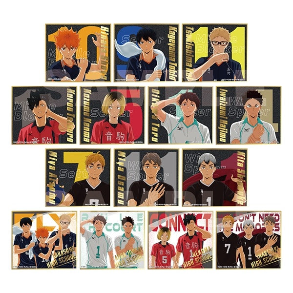 "Haikyu!!" Visual Shikishi Collection 8