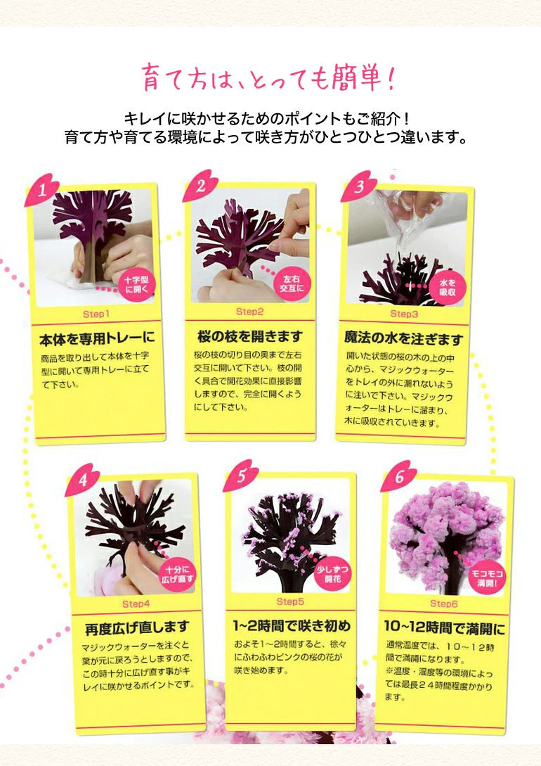 Magic Sakura - Paper Cherry blossom tree