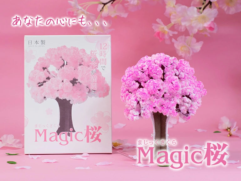 Magic Sakura - Paper Cherry blossom tree