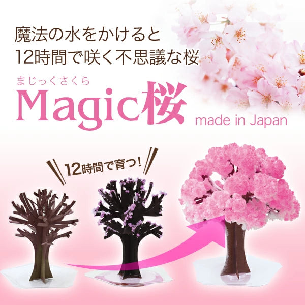 Magic Sakura - Paper Cherry blossom tree