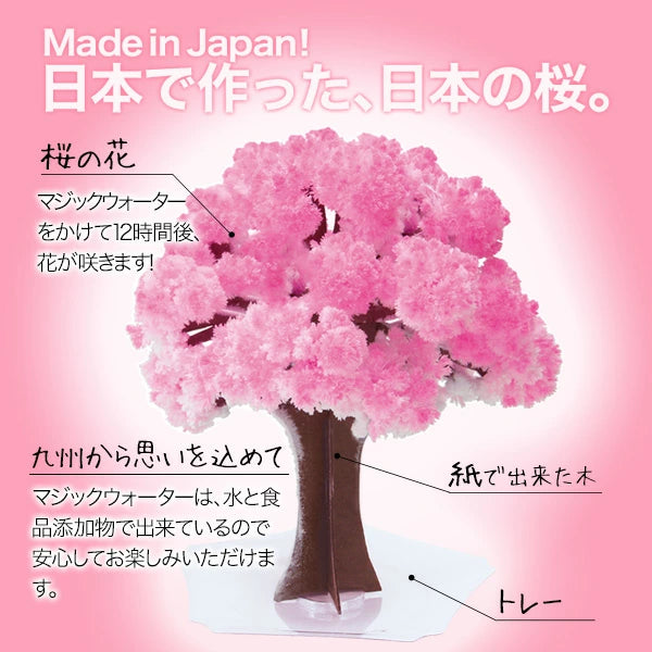 Magic Sakura - Paper Cherry blossom tree