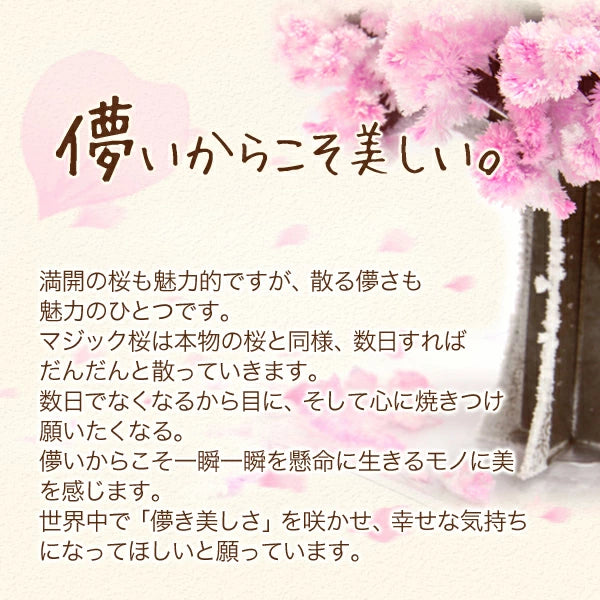 Magic Sakura - Paper Cherry blossom tree