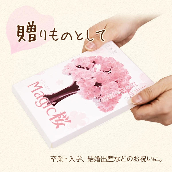 Magic Sakura - Paper Cherry blossom tree
