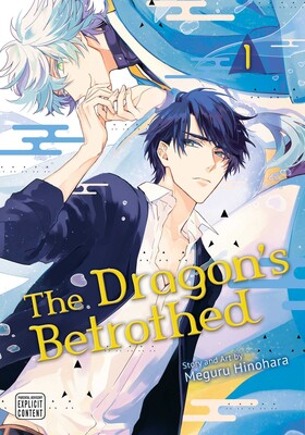 DRAGON'S BETROTHED, VOL. 1